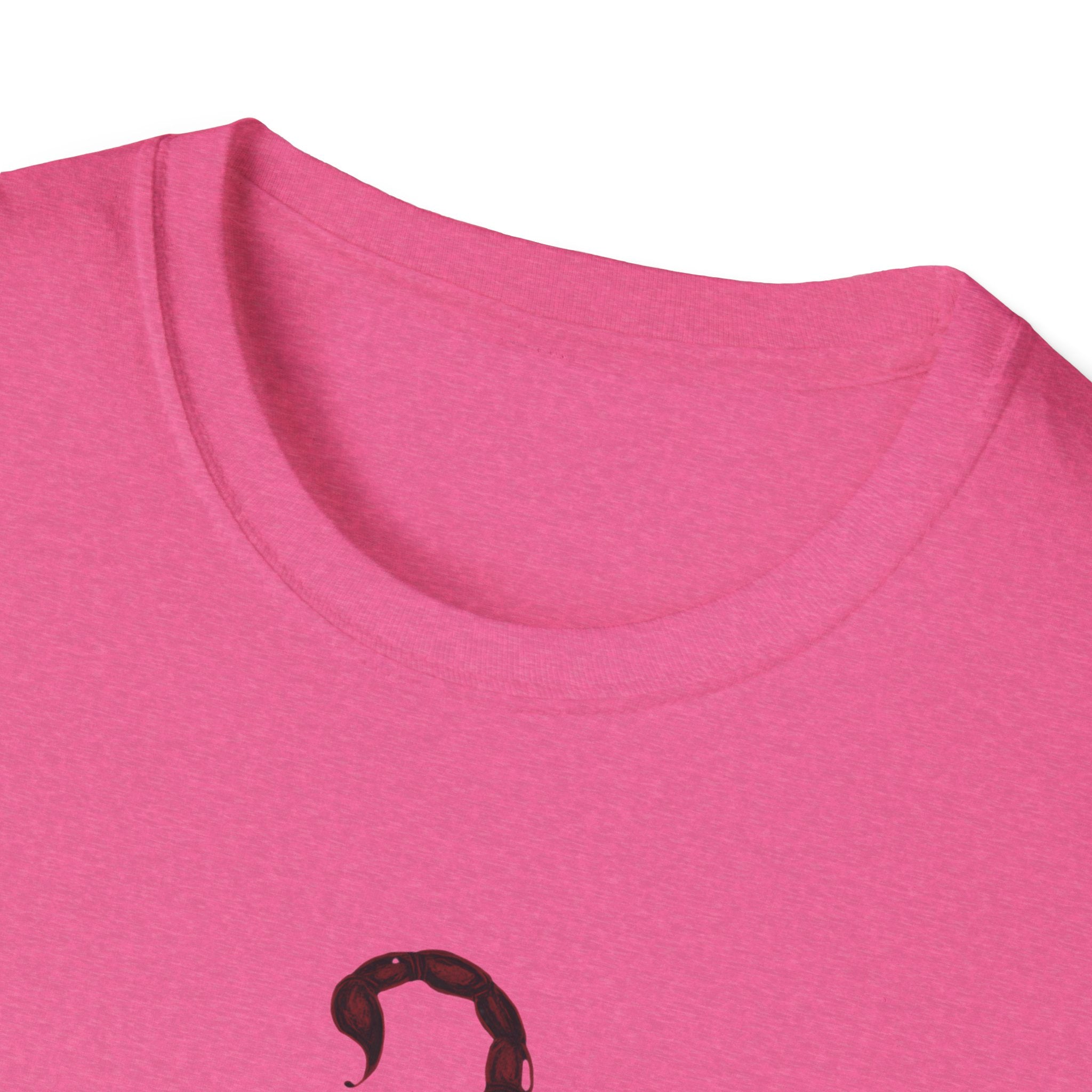 Scorpion Era Meme T-Shirt